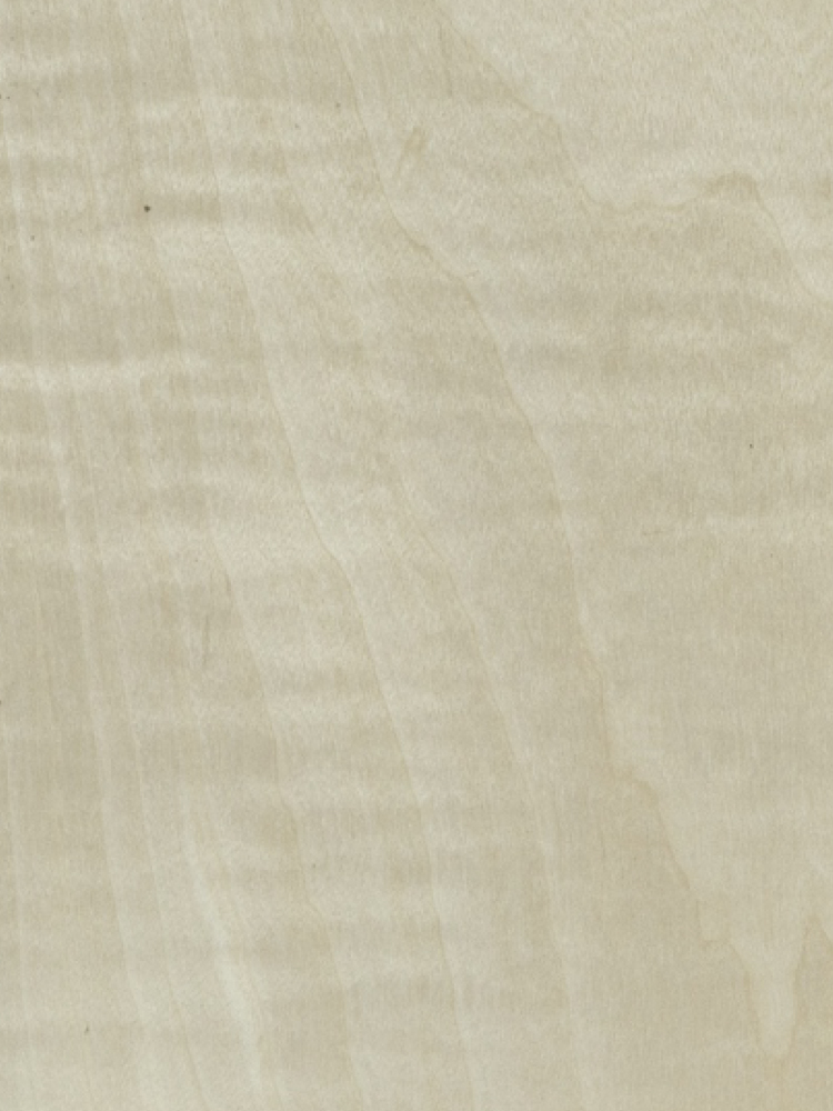 Dyed Figured Maple 02